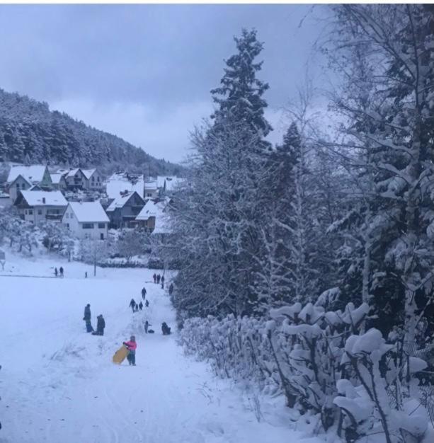 Ferienwohnung Am Tor Zum Thueringer Wald Plaue (Thuringia) Exterior foto